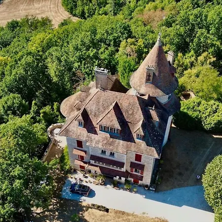 Chateau De Peyronnenc Vila Montpezat-de-Quercy